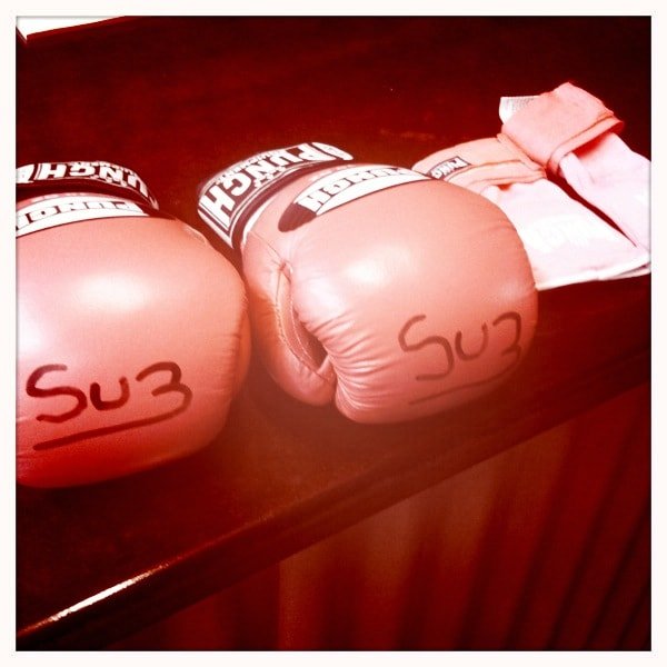 Boxing-Gloves pink paleo network-min