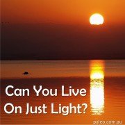 Can you live on just light breatharianism circadian rhythm meditation paleo diet natural-min