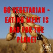 Go vegetarian - eating meat is bad for the planet-min