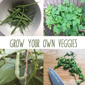 Grow your own veggies vegetable patch organic gardening Paleo Network