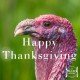 Happy Thanksgiving paleo recipes turkey healthy