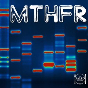 MTHFR genetic testing DNA paleo mutation methyl-tetrahydrofolate reductase heterozygous 1298C 677T weight loss-min