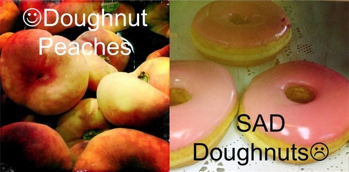 Paleo-Diet-Primal-Dounughts-Donuts-Peaches-min