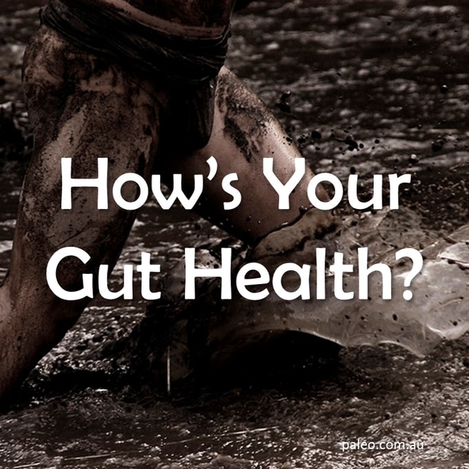 Paleo Diet Primal Gut Health Flora Healthy Probiotics-min