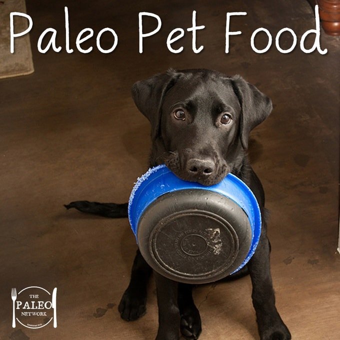 Paleo diet friendly pet food animals dogs cat grain free-min