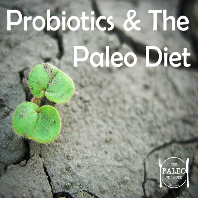 Probiotics and the paleo diet-min