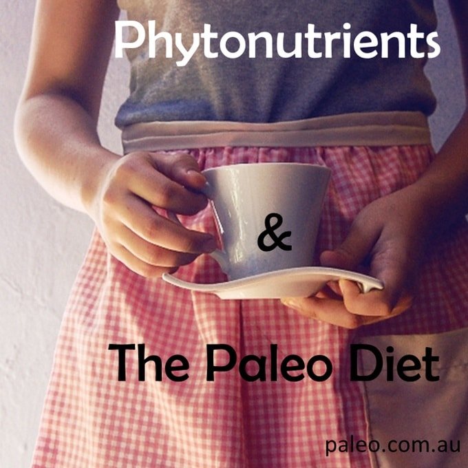 The Paleo Diet Phytonutrients Anthocyanins Catechins-min