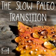 The Slow Paleo Transition primal diet-min