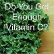 Vitamin C Paleo Diet Primal Supplement Deficiency-min