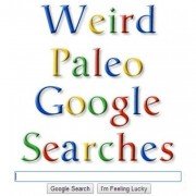 Weird paleo google searches paleo network-min