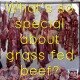 What's so special about grass fed beef paleo primal health benefits-min