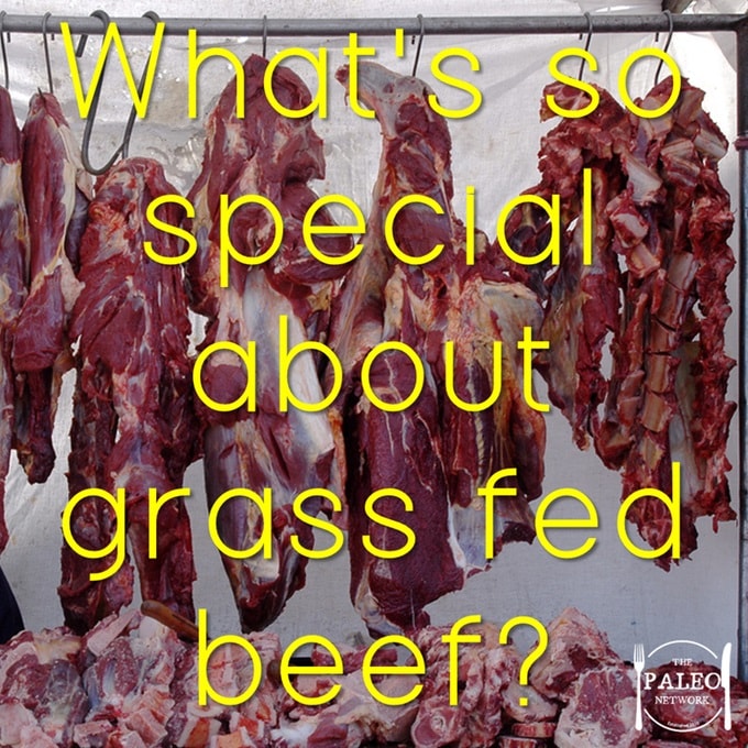 What's so special about grass fed beef paleo primal health benefits-min