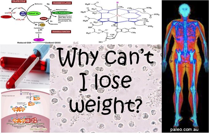 Why-Can't-I-Lose-Weight-Paleo-Diet-min