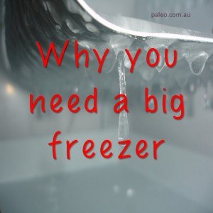 Why you need big freezer deep freeze frozen Paleo Network-min