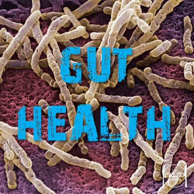 paleo diet gut health probotics-min