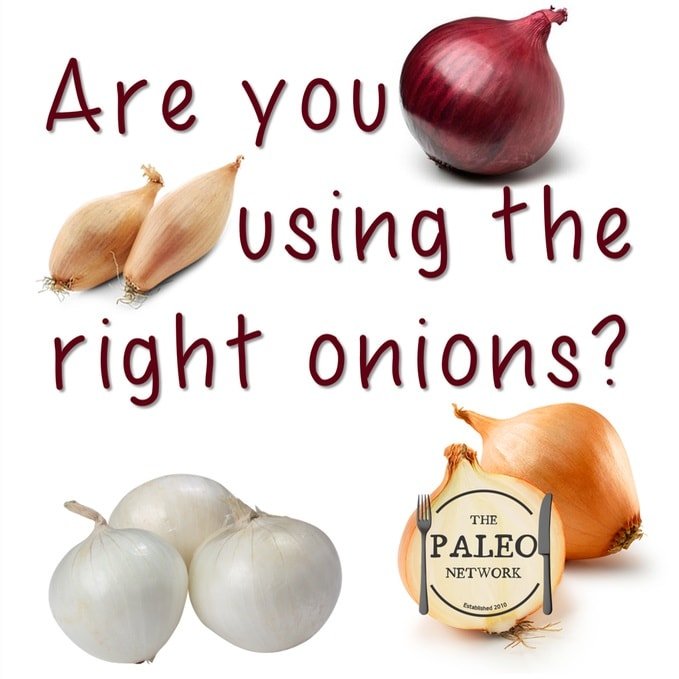 paleo network which type onion use yellow brown sweet red white shallot-min