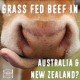 Grass fed beef in Australia and New Zealand-min