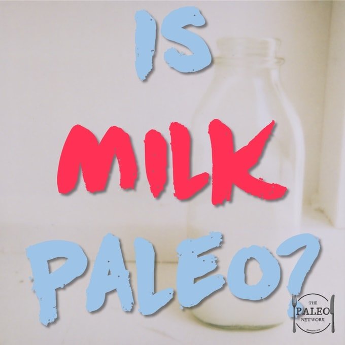 Is milk paleo dairy primal lacto cheese-min