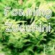Recipe foaming zucchini courgette paleo network-min