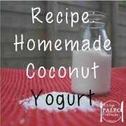 Recipe homemade coconut yoghurt paleo network-min