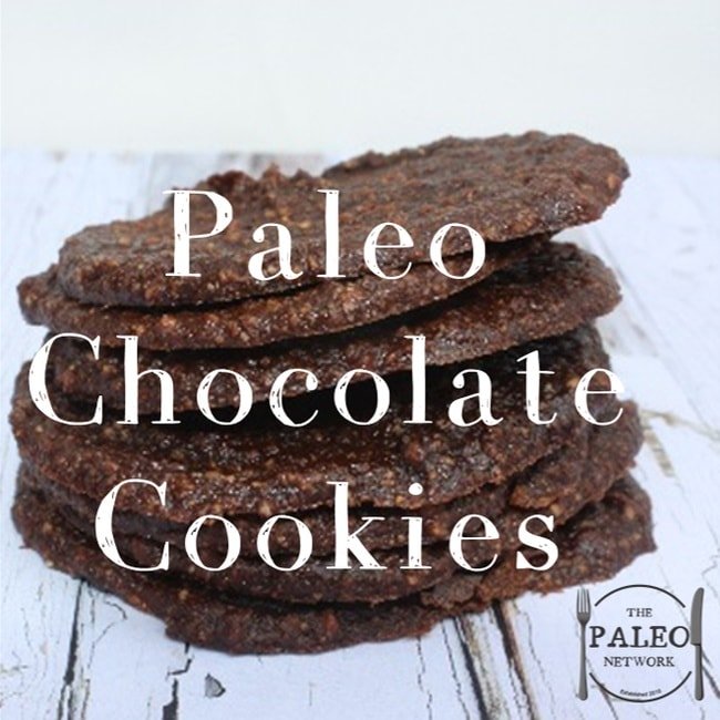 Recipe paleo chocolate cookies biscuits dehydrator-min
